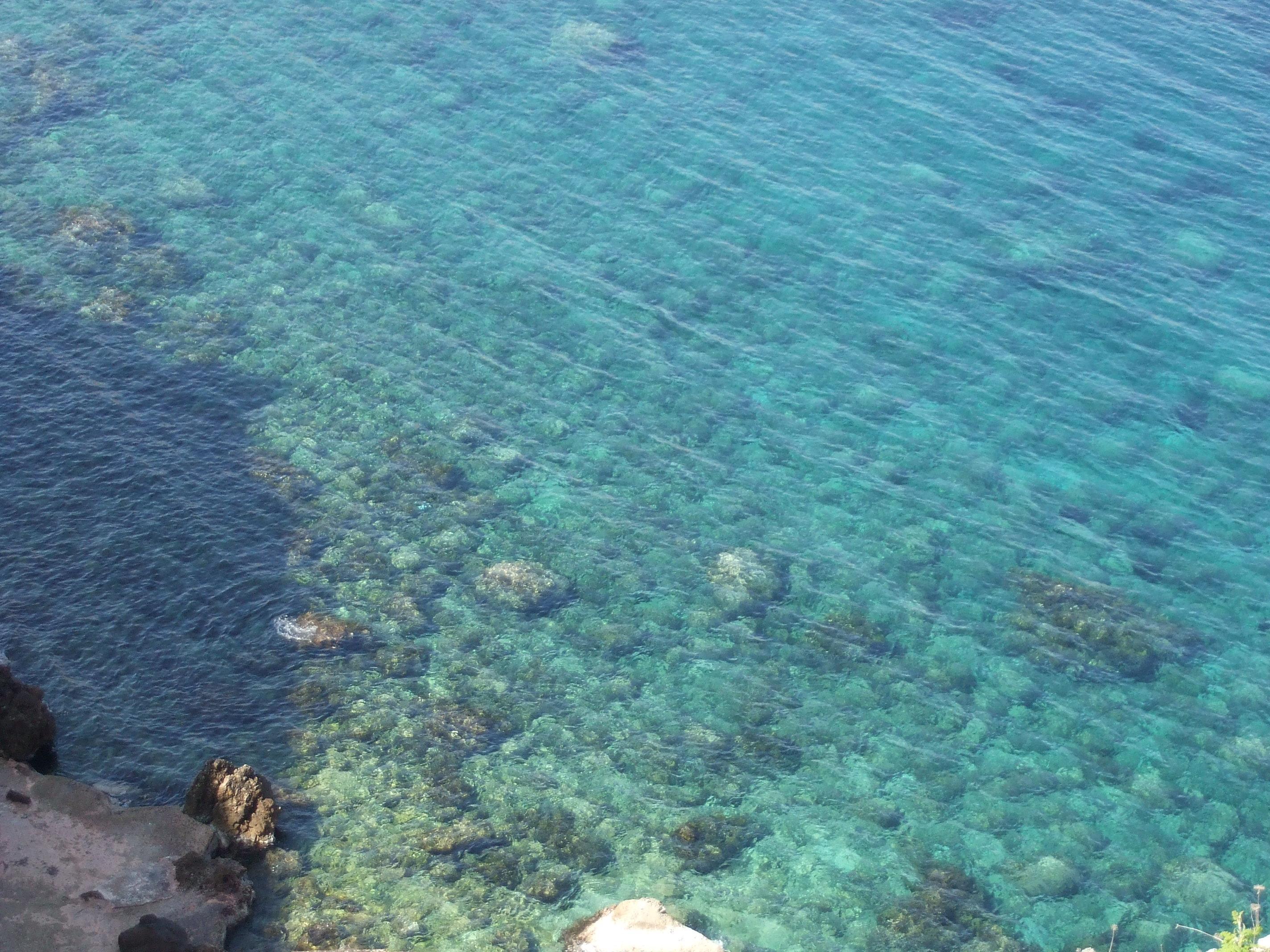 Apartamentos Sa Cala Cala Morell Dış mekan fotoğraf